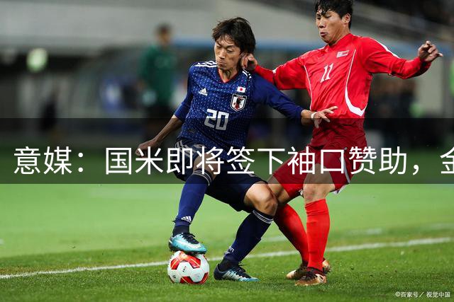 意媒：国米即将签下袖口赞助，金额将创意甲新高