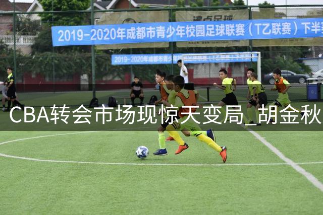 CBA转会市场现惊天变局 胡金秋去向牵动联赛格局